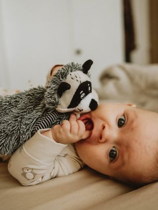 Taková nádhera, že nejde vybrat jen jednu fotku😍 Fešáka 🦝 máte moc rádi a po delší době je zase skladem. #cernanabile...