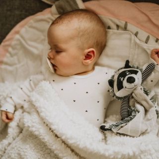 Mýval🦝 je prostě parťák do nepohody a u nás se jich zabydlela pěkná partička 🦝🦝 #cernanabile #cernobilehracky...